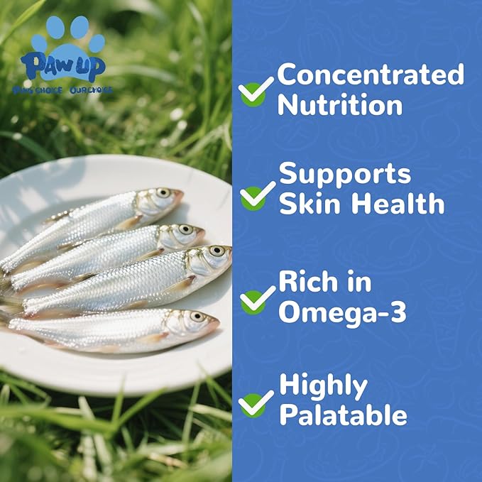 Freeze Dried Minnows Dogs Treats  100% Raw Single-Ingredient Pet Fish Snacks  Rich in Omega-3, Grain-Free  Healthy Training Rewards & Meal Toppers, 2.8 oz