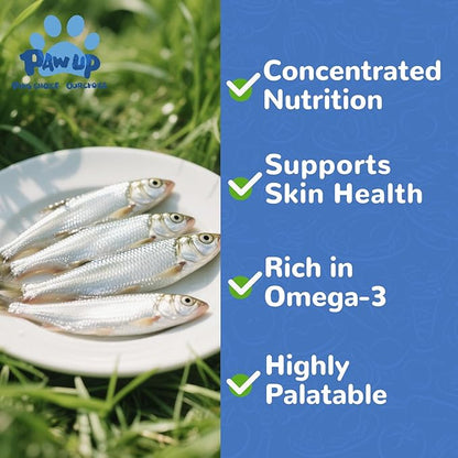 Freeze Dried Minnows Dogs Treats  100% Raw Single-Ingredient Pet Fish Snacks  Rich in Omega-3, Grain-Free  Healthy Training Rewards & Meal Toppers, 2.8 oz