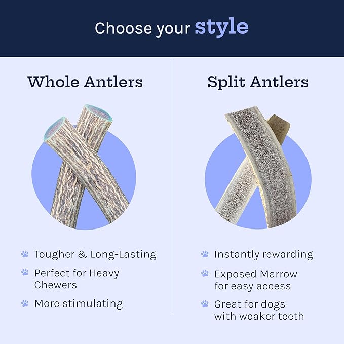 Good Trouble Pets Premium Elk Antlers for Large Dogs - All-Natural, Shed Antler Chews for Dental Health & Calming - Durable Dog Bones for Aggressive Chewers - Cruelty-Free, North American Sourced