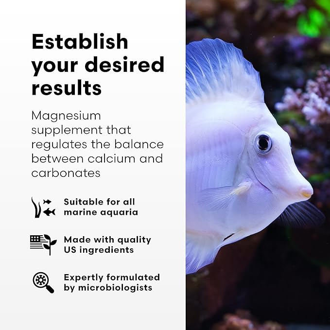 Brightwell Aquatics Magnesion Liquid Salt Water Conditioner - Concentrated Magnesium Supplement for Reef and Marine Aquariums, 135.2 fl oz