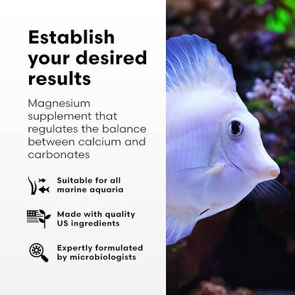Brightwell Aquatics Magnesion Liquid Salt Water Conditioner - Concentrated Magnesium Supplement For Reef and Marine Aquariums, 16.9 fl oz