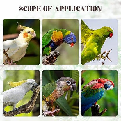 Bird Perch 5PCS Natural Wood Stand Parrot Toy and 1PC Bird Rope Perches for Parrots, Cockatiels, Parakeets, Budgie,Finches