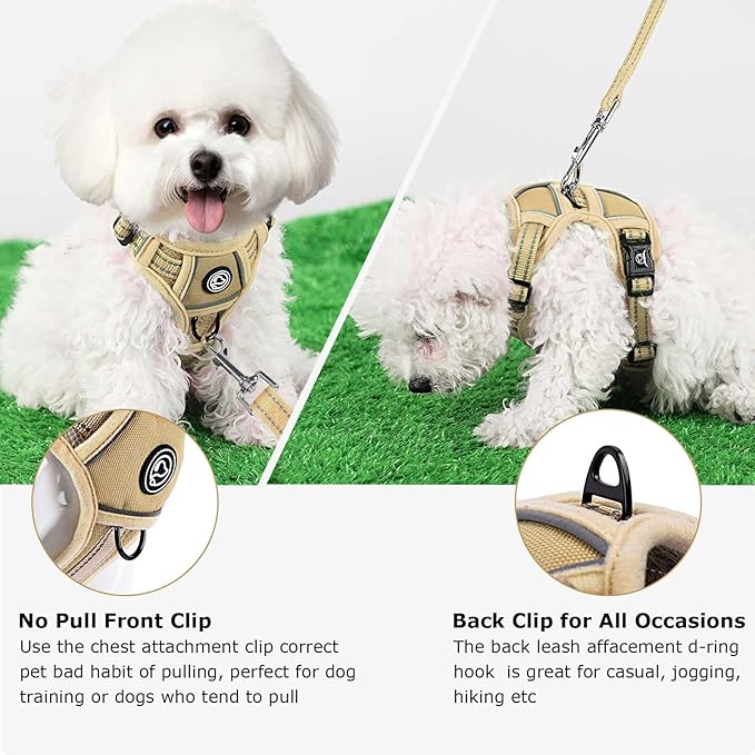 Dog Harness Small Sized Dog, No Pull Pet Harness with 2 Leash Clips, Adjustable Soft Padded Dog Vest Harnesses, Reflective No-Choke Pet Oxford Vest