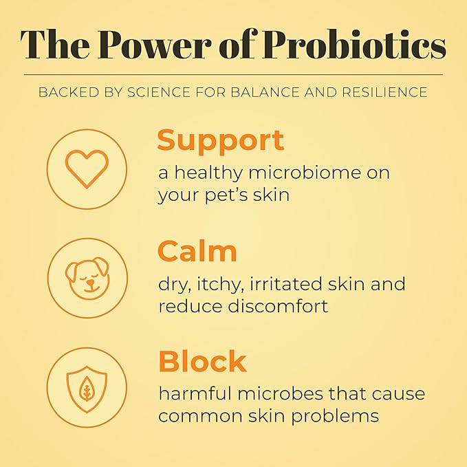 Skout's Honor Probiotic Pet Shampoo & Conditioner with Avocado Oil & Omega-3s, 97% Natural, Paraben & Sulfate-Free, Cruelty-Free, 16oz, Honeysuckle