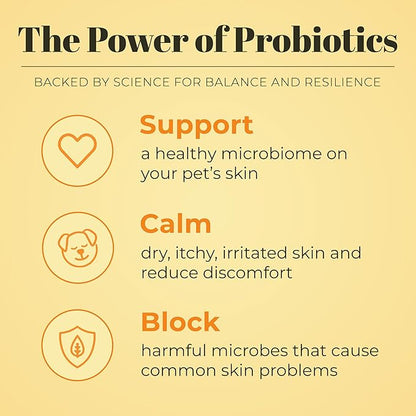 Skout's Honor Probiotic Pet Shampoo & Conditioner with Avocado Oil & Omega-3s, 97% Natural, Paraben & Sulfate-Free, Cruelty-Free, 16oz, Honeysuckle