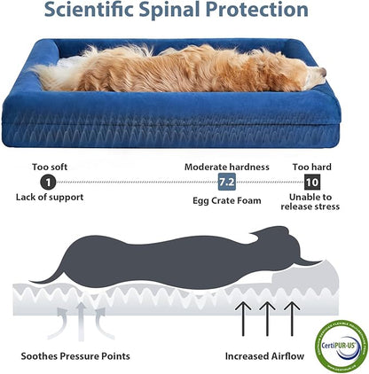 WNPETHOME Washable Dog Beds for Large Dogs, XL Dog Couch, Orthopedic Dog Sofa Bed with Removable & Waterproof Cover, Extra Large Dog Bed with Bolster Sides for Sleeping, Big Dog Couch Bed with Sides