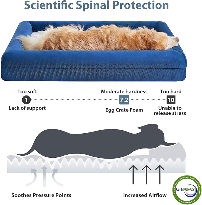 WNPETHOME Washable Dog Beds Large Sized Dog, XXXXL Dog Bed, Orthopedic Dog Sofa Bed with Removable & Waterproof Cover, Extra Large Dog Bed with Bolster Sides for Sleeping, Giant Dog Bed with Sides