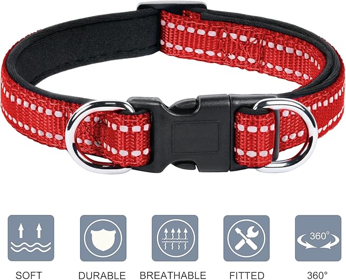 AUAUY Reflective Nylon Dog Collars, Adjustable Classic Pet Collars with Soft Neoprene Padding, Double Security Dual D-Ring and Quick Release Buckle for Small Puppy, Medium and Large Dogs (Red-L)