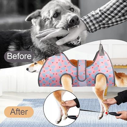 Dog Grooming Hammock for XXL Large Dogs Nail Trimming, Dog Grooming Harness for Cutting Nails, Pet Grooming Sling Helper with Nail Clippers/Nail Trimmers