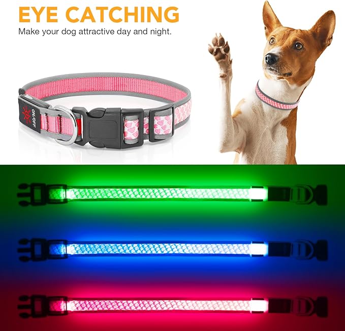 Light Up Dog Collars for Small Dogs, USB Rechargeable Flashing Dog Collar, Led Dog Collar with Reflective Edging - Glow in The Dark Lighted Collar - Dog Glow Collar for Night Walking - Pink, S
