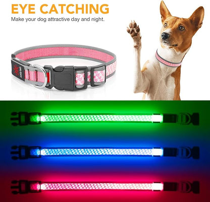 Light Up Dog Collars for Small Dogs, USB Rechargeable Flashing Dog Collar, Led Dog Collar with Reflective Edging - Glow in The Dark Lighted Collar - Dog Glow Collar for Night Walking - Pink, S