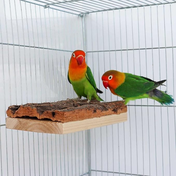 Dnoifne Cork Seat Board, Natural Wooden Parrot Bird Perch Stand, Natural Wooden Bird Cage Stand Pole Accessories for Parrot, Parakeet, Budgies, Lovebirds