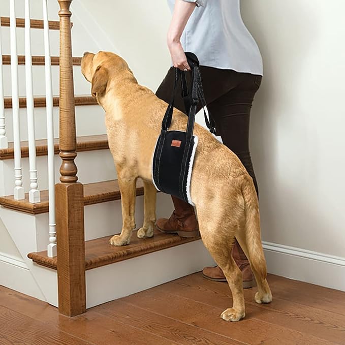 LOOBANI Portable Dog Sling for Back Legs, Hip Support Harness to Help Lift Dogs Rear for Canine Aid and Old K9 Cruciate Ligament Rehabilitation