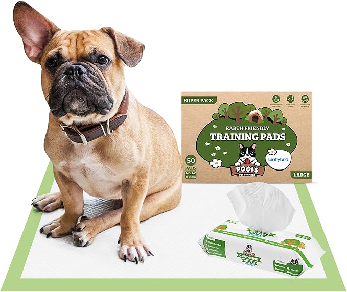 Pogi's Pads n' Wipes Bundle - 50 Large Doggy Training Pads with Sticky Tabs (24 x 24 inches) and 100 Plant-Based, Hypoallergenic Pet Wipes for Dogs