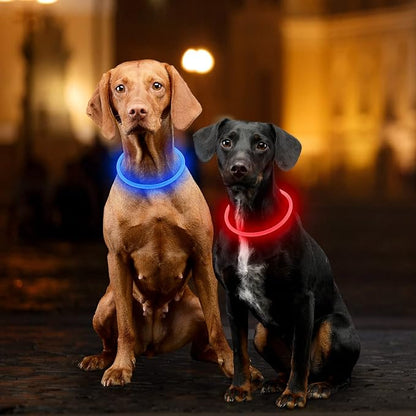 Light Up Dog Collars, Single-Color USB Rechargeable Dlitk LED Dog Collar 1 Count, TPU Cuttable Size Glow Collar for Dogs, Dog Collar Light, Please Do Not Use Fast Charging (Blue)