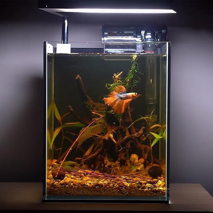 majoywoo Natural Small Driftwood for Aquarium Decor Fish Tank Decorations, Assorted Spider Wood Branch 2-4.5" 10 Pcs, Reptile Decor