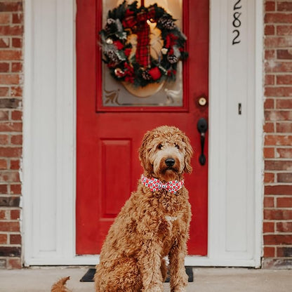 MR. CHUBBYFACE Christmas SquareTree Dog Collar with Bowtie, Cotton Boy Girl Dog Collars with Metal Buckle Cute Christmas Collars for Puppy Small Medium Large Dogs