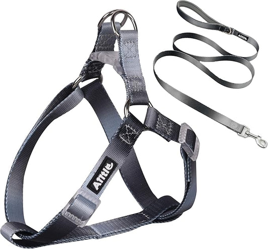 AIITLE No Pull Small Dog Harness and Leash Set- Escape Proof/Quick Fit Dog Halter Harness,Easy for Training Walking -Sturdy Buckle and Double D Ring -Puppy Harness for Small Dogs,Black-Grey Gradient S