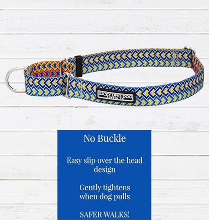 Lucky Love Dog Martingale Collar and Leash Set, Premium No Slip Collar for Male Dogs, Comfortable & Soft Martingale Dog Collars, Great for Whippets, Greyhounds, and More (Murphy, Small - Combo)