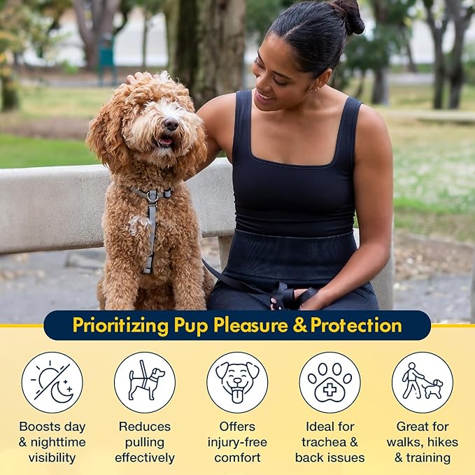 Easy On Dog Harness - No Pull Fully Customizable Fit for Medium Dogs - 3M Reflective Heavy Duty Harness for Walking & Training - No Choke Comfortable Collar Design, Made in USA M-Black