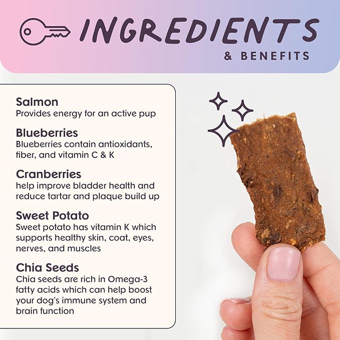 Bundle x Joy Superfood Dog Treats Salmon, Chicken or Beef Jerky Bars - Dog Treats for Snacks and Training – Made in USA - No Corn, Wheat or Soy – Poultry Free, 5oz or 16oz (Salmon (2 Lbs))