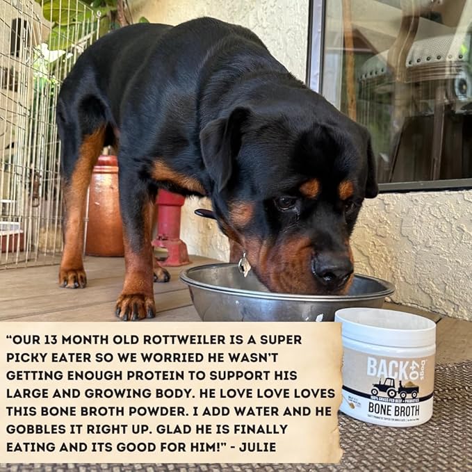 Grass-Fed Beef Bone Broth Powder for Dogs with Probiotics, Chondroitin & Glucosamine – Supports Gut Health, Joint & Immune System – Human Grade Dog Food Toppers for Picky Eaters, 6.4oz
