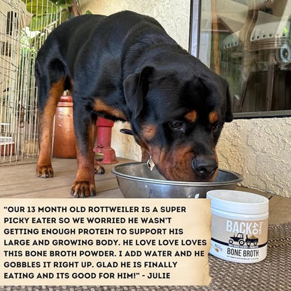 Grass-Fed Beef Bone Broth Powder for Dogs with Probiotics, Chondroitin & Glucosamine – Supports Gut Health, Joint & Immune System – Human Grade Dog Food Toppers for Picky Eaters, 6.4oz