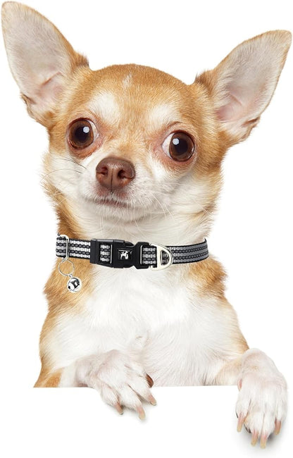 Reflective Dog and Cat Collar with Bell - Hypoallergenic Adjustable Puppy Collar for Small Pets, Soft Nylon Night Safety with Reflective Strips (Silver, XS)