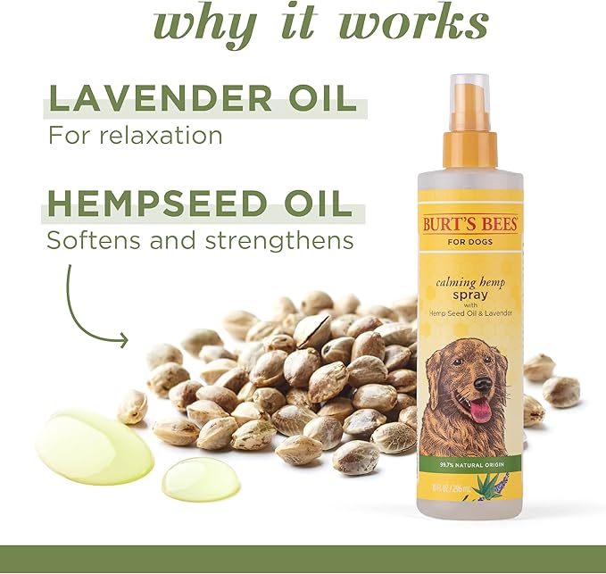 Burt's Bees for Pets Calming Spray with Hemp, 99.7% Natural Origin Formulas, Spray for Calming Dogs, Dog Anxiety Relief Spray, Calming Care for Dogs 10oz