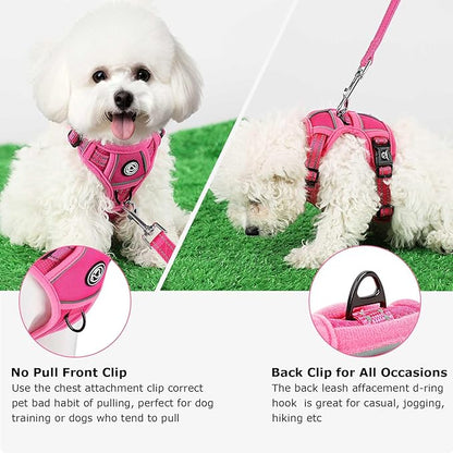 Dog Harness Small Sized Dog, No Pull Pet Harness with 2 Leash Clips, Adjustable Soft Padded Dog Vest Harnesses, Reflective No-Choke Pet Oxford Vest