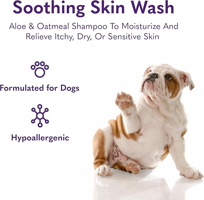 MySimplePetLab Soothing Skin Wash, Dog Shampoo for Itching, Relief for Itchy, Dry, Sensitive Skin, Gentle Formula, Moisturizes, Aloe and Oatmeal, Pina Colada Scent