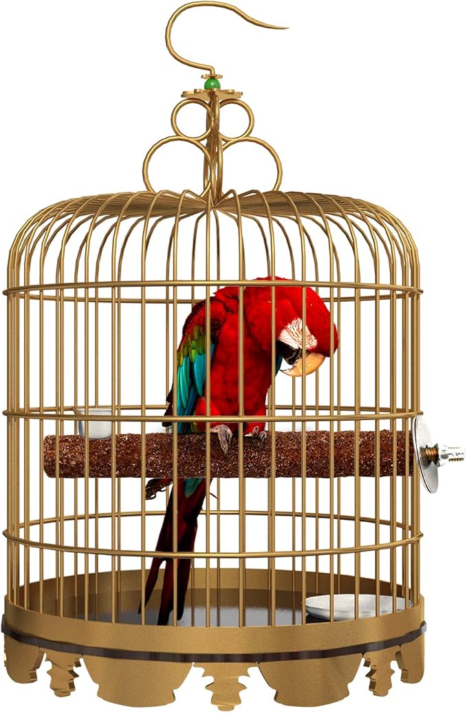 6 Pcs Bird Perch Stand Toy, Wood Parrot Stand Platform Colorful Sand Paw Grinding Stick Cage Accessories Exercise Toys for Cockatiel Conure Budgies Parakeet Lovebird Hamster Gerbil Rat Mouse (6 Pcs)