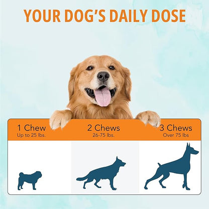 NOVEHA Dog Glucosamine Chews | Hip and Joint MSM Formula for Dogs Joint Care | Senior Pet Joint Health Supplement | Premium Glucosamine and Chondroitin for All Breeds | 90 Soft Chews; Chicken Flavor