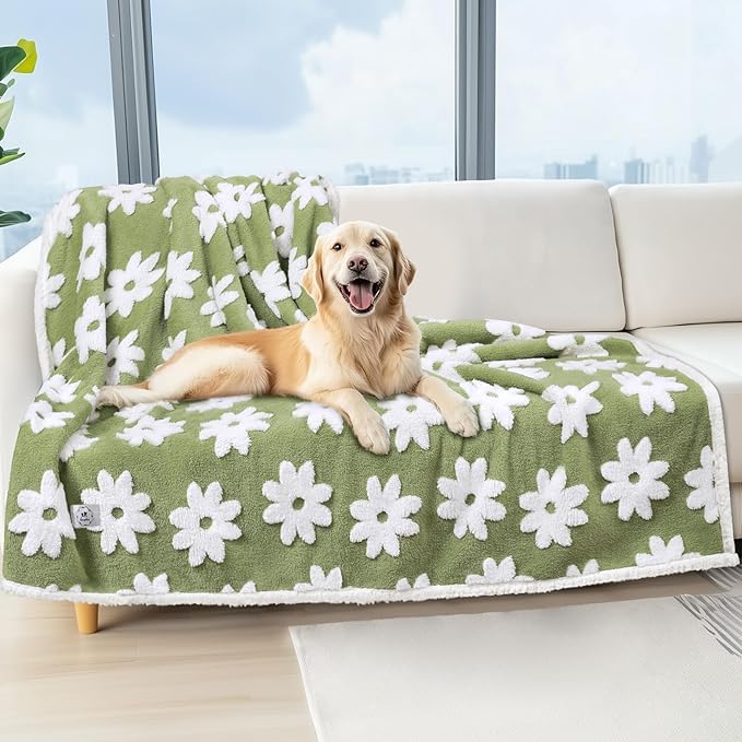 Luciphia Waterproof Pet Blanket for Medium Large Dogs Washable Fluffy Thick Jacquard Shag Fleece Warm Sherpa 3D Textured Flower Print for Cats Puppy Couch Protection (Green,67x57 inches)