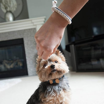 Pettsie Matching Dog Collar Bow Tie, Friendship Bracelet, Durable Hemp for Extra Safety, 3 Easy Adjustable Sizes, Comfortable and Soft for Sensitive Skin, Strong D-Ring for Leash Attachment