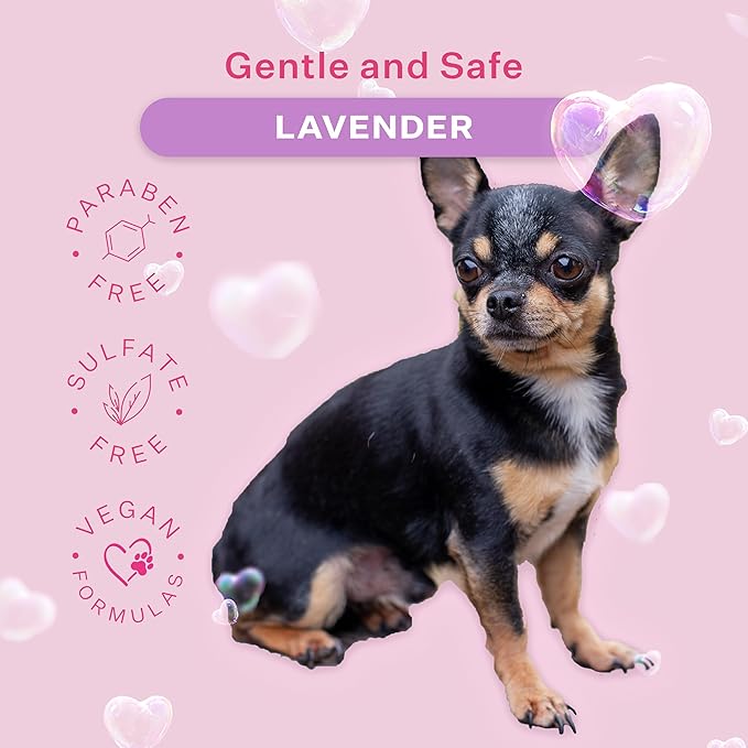 Paris Hilton Pet Iconic Lavender Scent No-Rinse Dog Shampoo, Waterless Dog Wash, Hypoallergenic, 280ml  Quick Clean for Dogs, Easy Grooming, No Rinse Needed