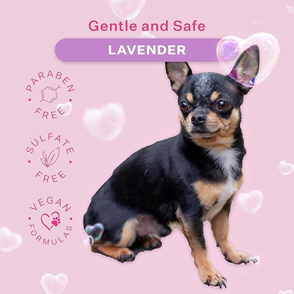 Paris Hilton Pet Iconic Lavender Scent No-Rinse Dog Shampoo, Waterless Dog Wash, Hypoallergenic, 280ml  Quick Clean for Dogs, Easy Grooming, No Rinse Needed