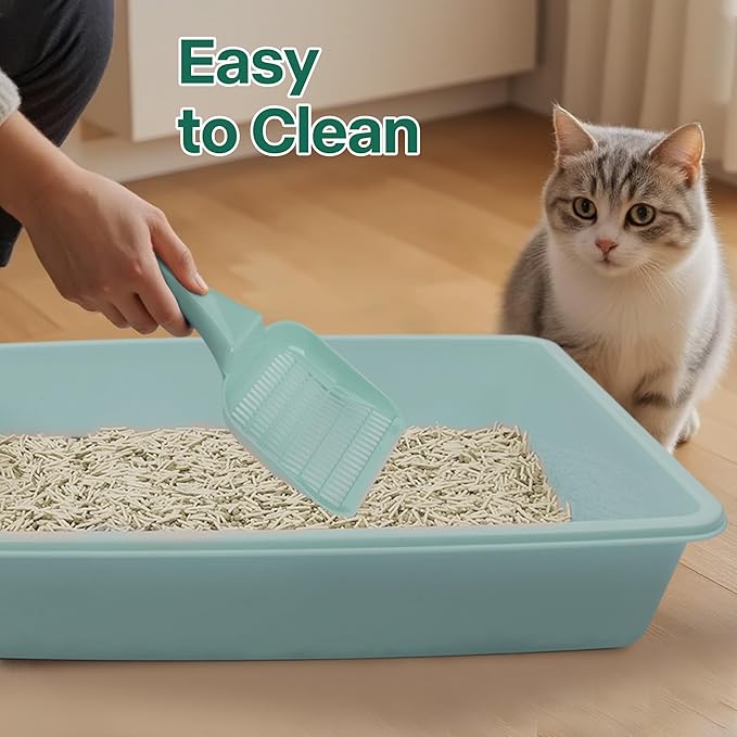 PAWISE Small Cat Litter Box, Kitten Litter Box Starter Kit, Low Entry Baby Kitten Training Litter Box with Scoop, Bowls,Cat Mouse Toy and Cat Ball Toy,First Catty Owner Essentials (Green)