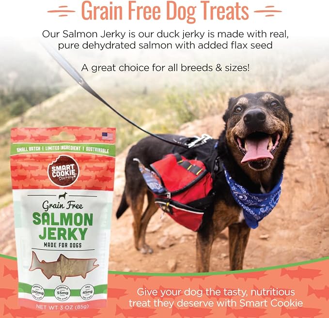 Smart Cookie Salmon Jerky Dog Treats - DHA & Omega Strips for Dogs & Puppies with Allergies, Sensitive Stomachs with Wild Caught Alaskan Salmon- Dehydrated, Grain Free, Made in USA - 3oz Bag Pack of 1