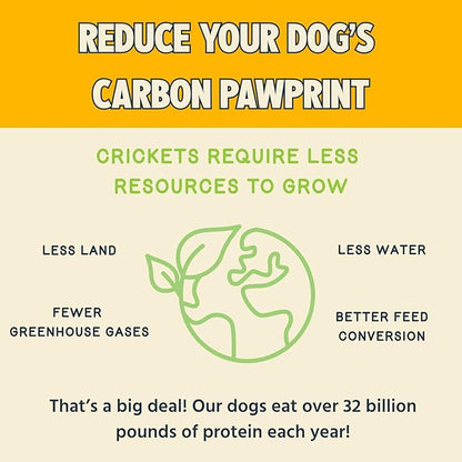 Jiminy's Good Grub Dry Dog Food, Hypoallergenic, Healthy Skin and Coat, Improved Oral Health, Made in USA, 10lb Bag (Pack of 1)