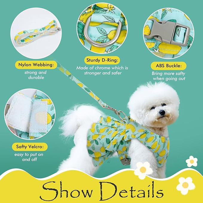 Dora Bridal 2 Pack Dog Dress Harness Vest with Leash, No Pull Cat Small Medium Girl Pet Floral Harness Leash Set, Cute Puppy Fruit Outfit Clothes with Bow, Mesh Princess Costume for Outdoor Walking