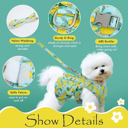 Dora Bridal 2 Pack Dog Dress Harness Vest with Leash, No Pull Cat Small Medium Girl Pet Floral Harness Leash Set, Cute Puppy Fruit Outfit Clothes with Bow, Mesh Princess Costume for Outdoor Walking