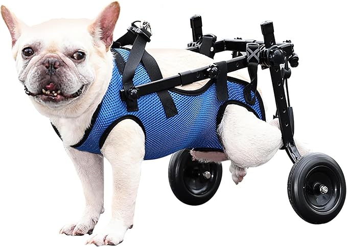 Dog Wheelchair for Back Legs, Dog Wheelchair for Small Dog, Adjustable Pets Cart with Wheels, Doggy Wheelchairs for Disabled Hind Legs, Dog Leg Brace and Hip Support (Small)