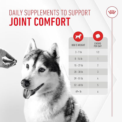 Royal Canin Joint Dog Supplement Soft Chews for Adult Dogs, 60 Count