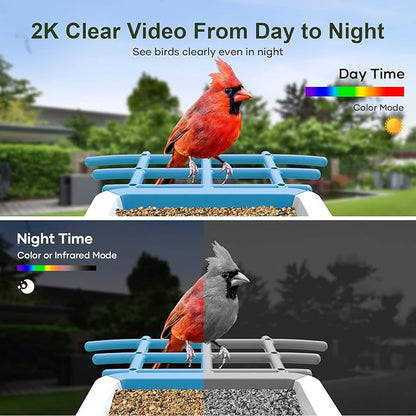 Smart Bird Feeder with Camera: Solar Powered Birdhouse with AI Recognition, Wireless Bird House with Camera for Outdoor, Unique Birthday Gifts for Mom Dad - Blue