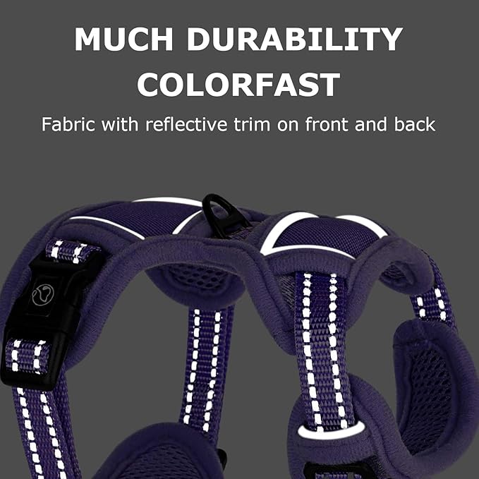 Dog Harness Small Sized Dog, No Pull Pet Harness with 2 Leash Clips, Adjustable Soft Padded Dog Vest Harnesses, Reflective No-Choke Pet Oxford Vest