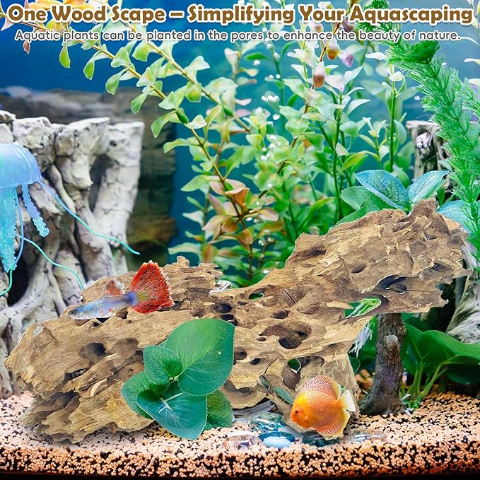 PINVNBY Natural Large Driftwood for Aquarium Reptile Terrarium Decor Decorations Assorted Branches Bearded Dragon Tank Accessories (11.5-16 inches/1 Pack)