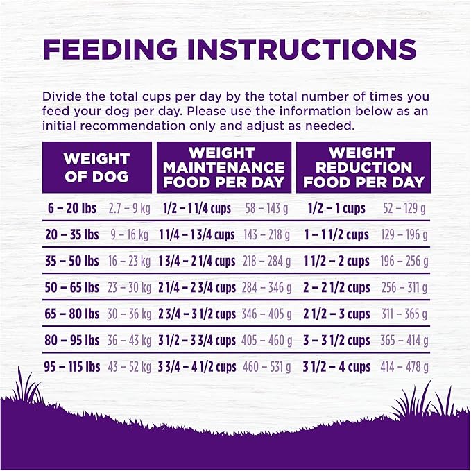 Wellness Complete Health Senstive Skin & Stomach Natural Adult Dry Dog Food, Salmon and Rice Recipe, 24 Pound Bag