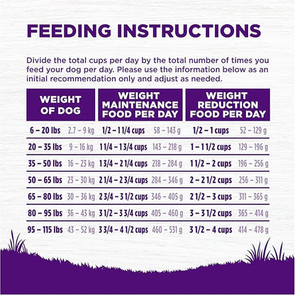 Wellness Complete Health Senstive Skin & Stomach Natural Adult Dry Dog Food, Salmon and Rice Recipe, 24 Pound Bag