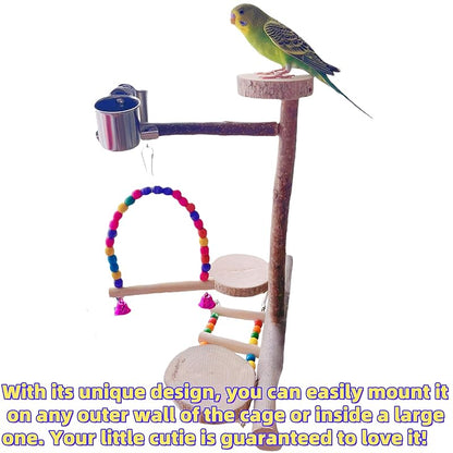 Natural Wood Bird Perch Playground for Outside the Cage Wall, Bird Platform and Play Area for Small to Medium Parrots like Cockatiels, Conures, Parrotlets, Lovebirds, and Budgies, Bird Cage Accessory